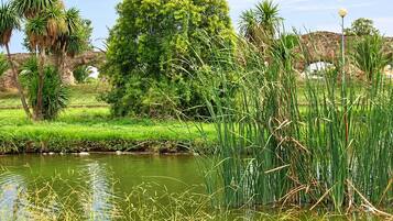 Un’ambientazione esterna tranquilla con uno stagno, vegetazione lussureggiante e un ponte di pietra.