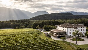 A vineyard with rows of grapevines, a white building with a tiled roof, and mountains in the background. - Ansitz Rungghof (Appiano Sulla Strada del Vino)