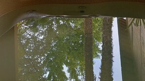 Uma banheira de hidromassagem com vista para um jardim com palmeiras e uma estrutura de madeira.