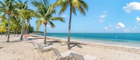 Plage, chaises longues, serviettes de plage