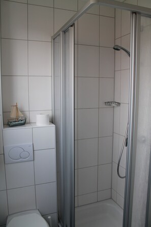 Shower, hair dryer, toilet paper