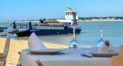 Beachfront apartment with terrace
