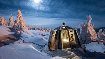 Cabin, 1 Bedroom, Smoking, Terrace | Exterior