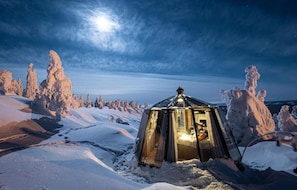 Cabin, 1 Bedroom, Smoking, Terrace | Exterior