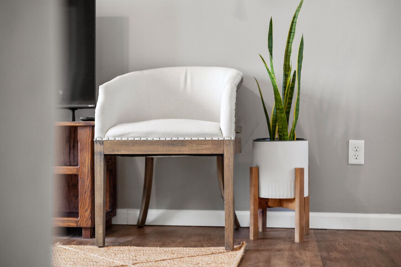 Una silla tapizada de blanco con patas de madera, una planta en maceta con hojas verdes largas y un televisor sobre un mueble de madera.