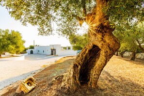 Parking - Masseria Abadia Uno (Ostuni)