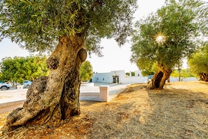 Garden - Masseria Abadia Uno (Ostuni)