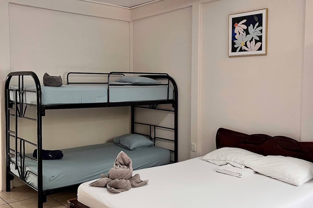 A room with a bunk bed, a single bed, and a framed picture on the wall.