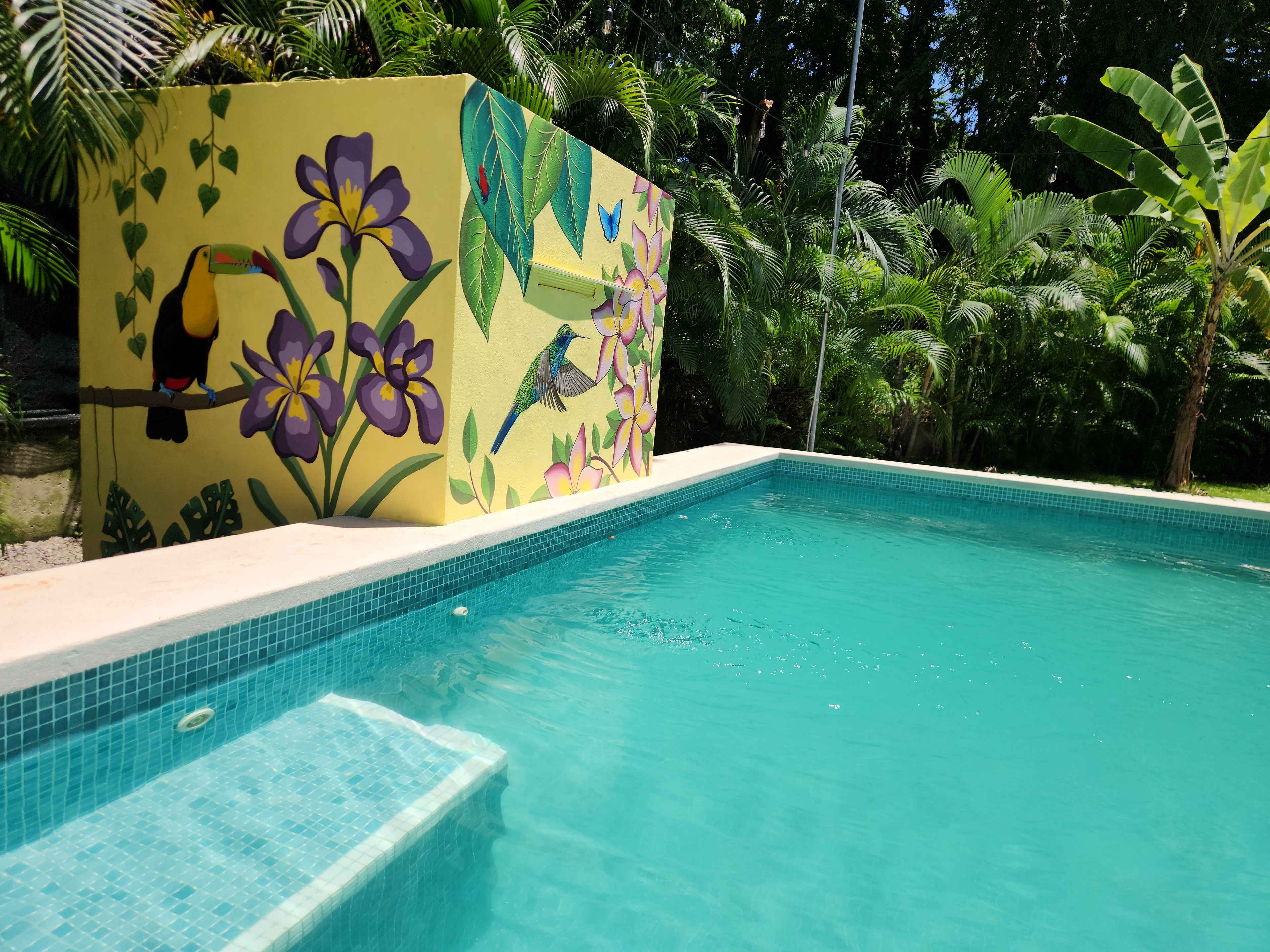 Una piscina amb vora enrajolada i un mural al mur proper que representa ocells i flors.