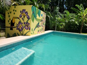 A swimming pool with a tiled edge and a mural of birds and flowers on the adjacent wall. - Family Hotel (Cahuita)