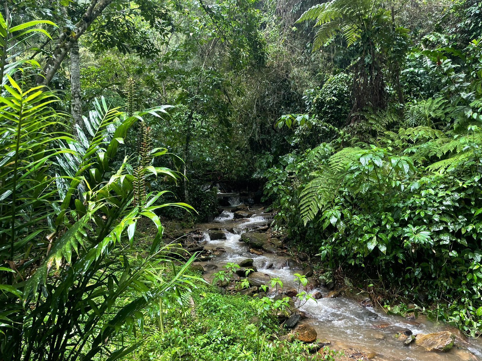 Hiking
