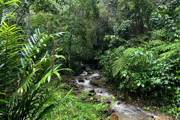 Hiking