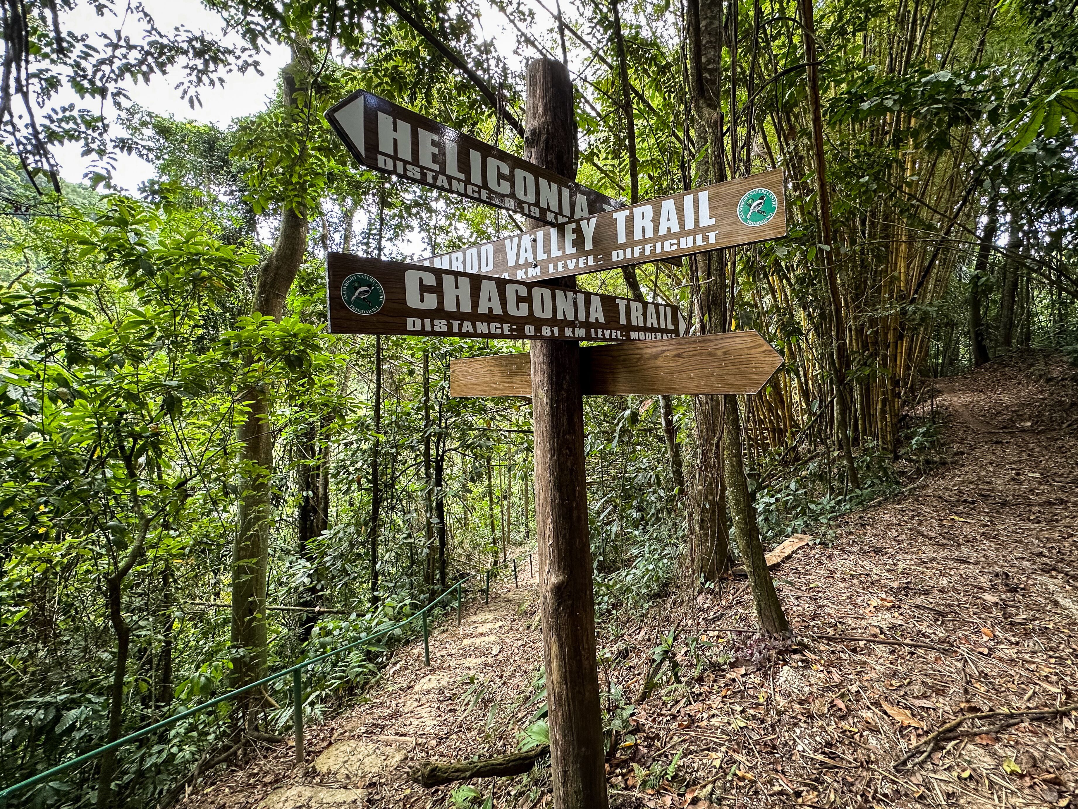 Hiking