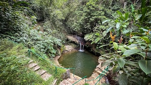 A natural pool surrounded by lush greenery and a stone staircase leading down to the water. - HADCO Experiences at AWNC (Lopinot)