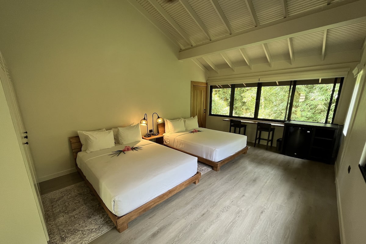 Une chambre avec deux lits, un bureau et une grande fenêtre.