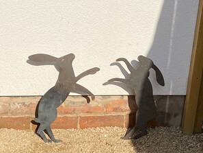 Pool - The Hare (Nantwich)