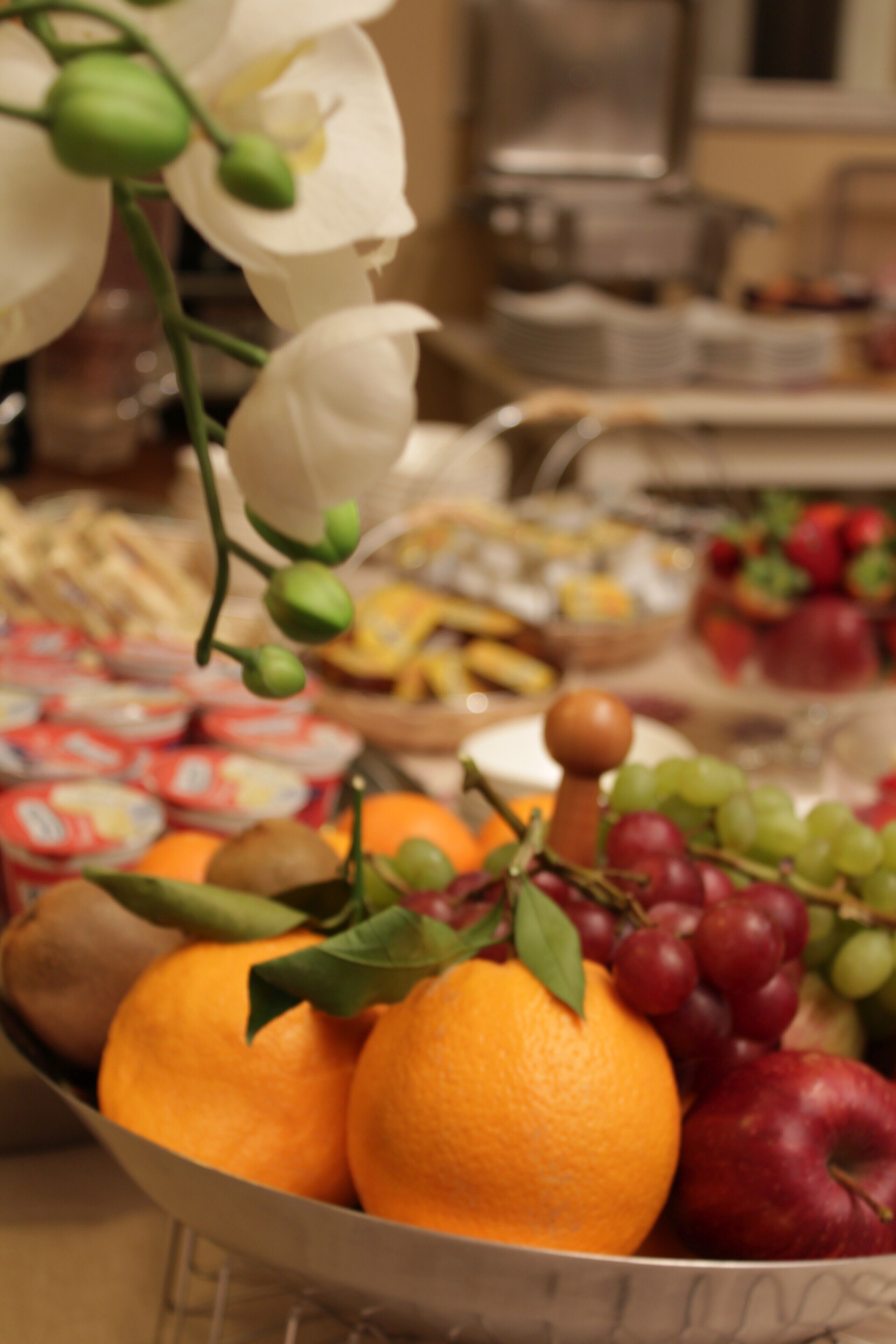 Eine Schale mit Obst, darunter Orangen, Äpfel und Trauben.