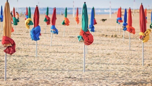 Une plage bordée de rangées de parasols colorés, fixés sur des mâts et disposés en ligne.