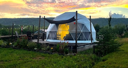 Port Wade Glamping Domes
