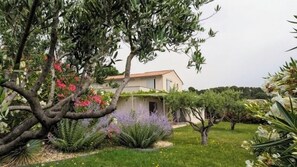 Área da propriedade