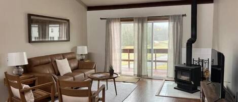 Älytelevisio, DVD-soitin, kirjoja