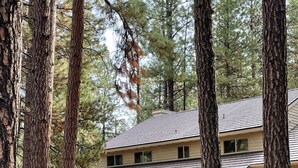 A two-story house surrounded by tall pine trees. - Woodzy Retreat Getaway (Black Butte Ranch)