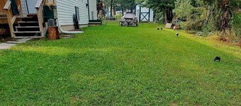 EVCharger/Free Parking/Ski/Golf/BBQ/Awesomeness

