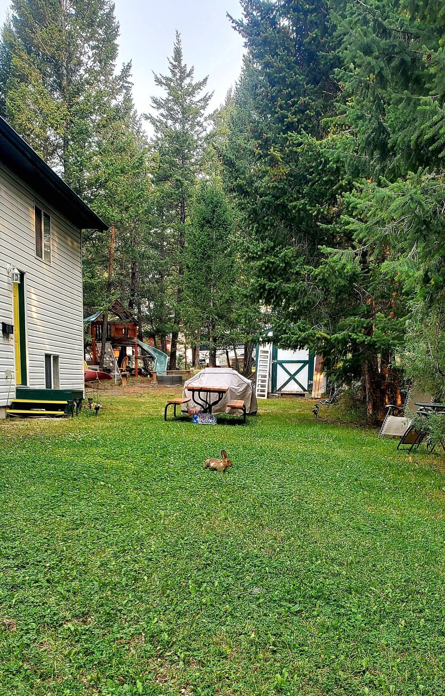 Un jardin à l’arrière d’une maison, avec une table de pique-nique couverte et une aire de jeux.