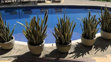 Apartamento básico | Piscina | Una piscina al aire libre