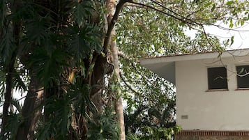 Apartamento | Detalle del exterior