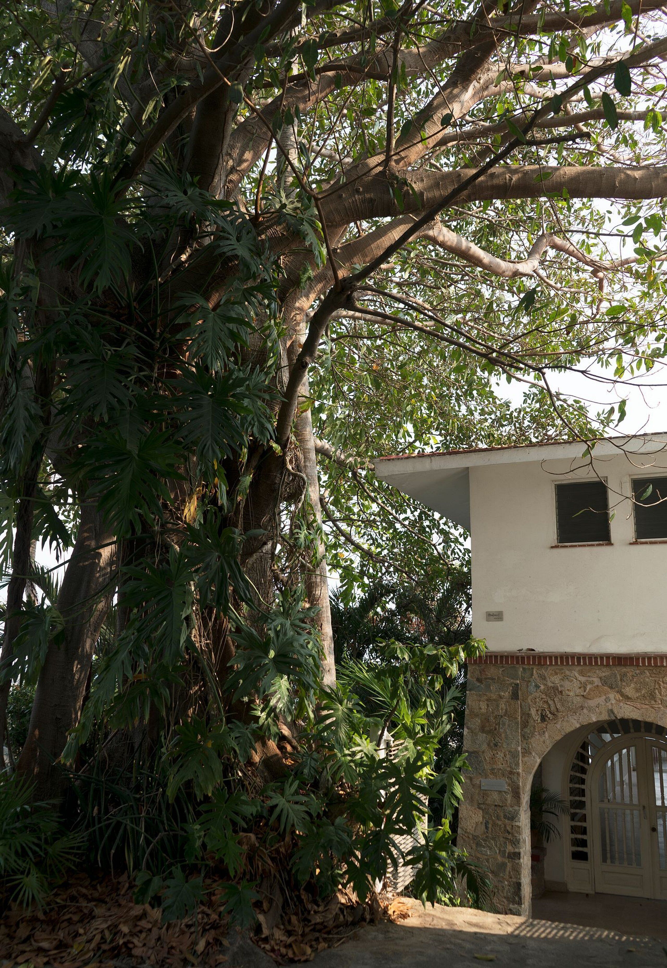 公寓 | 外观细节