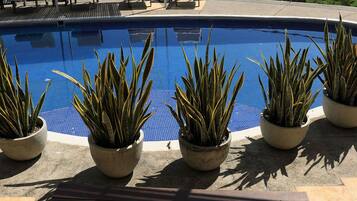 Departamento básico | Alberca | Alberca al aire libre