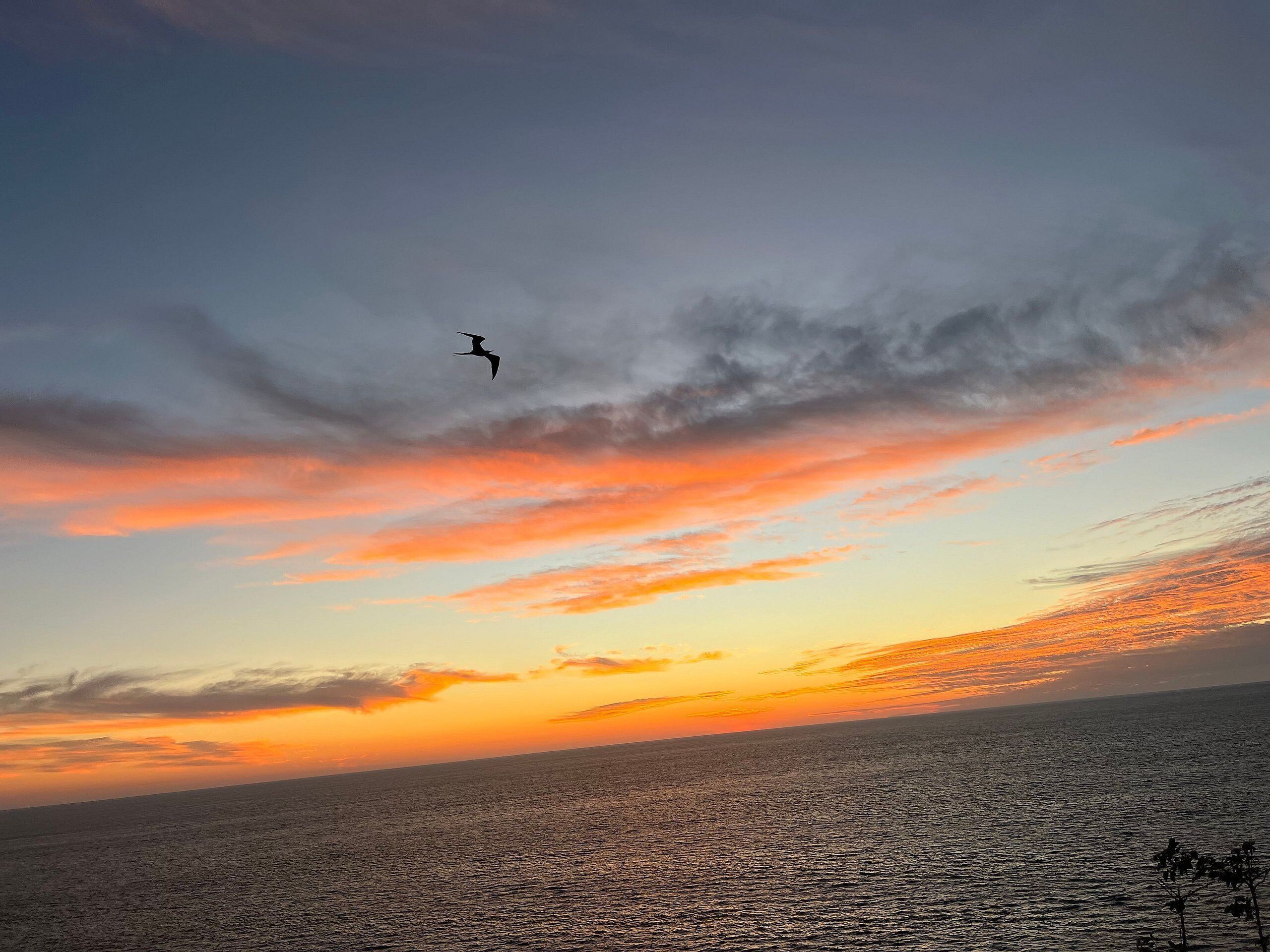 Foto - Casas del Acantilado - Acapulco
