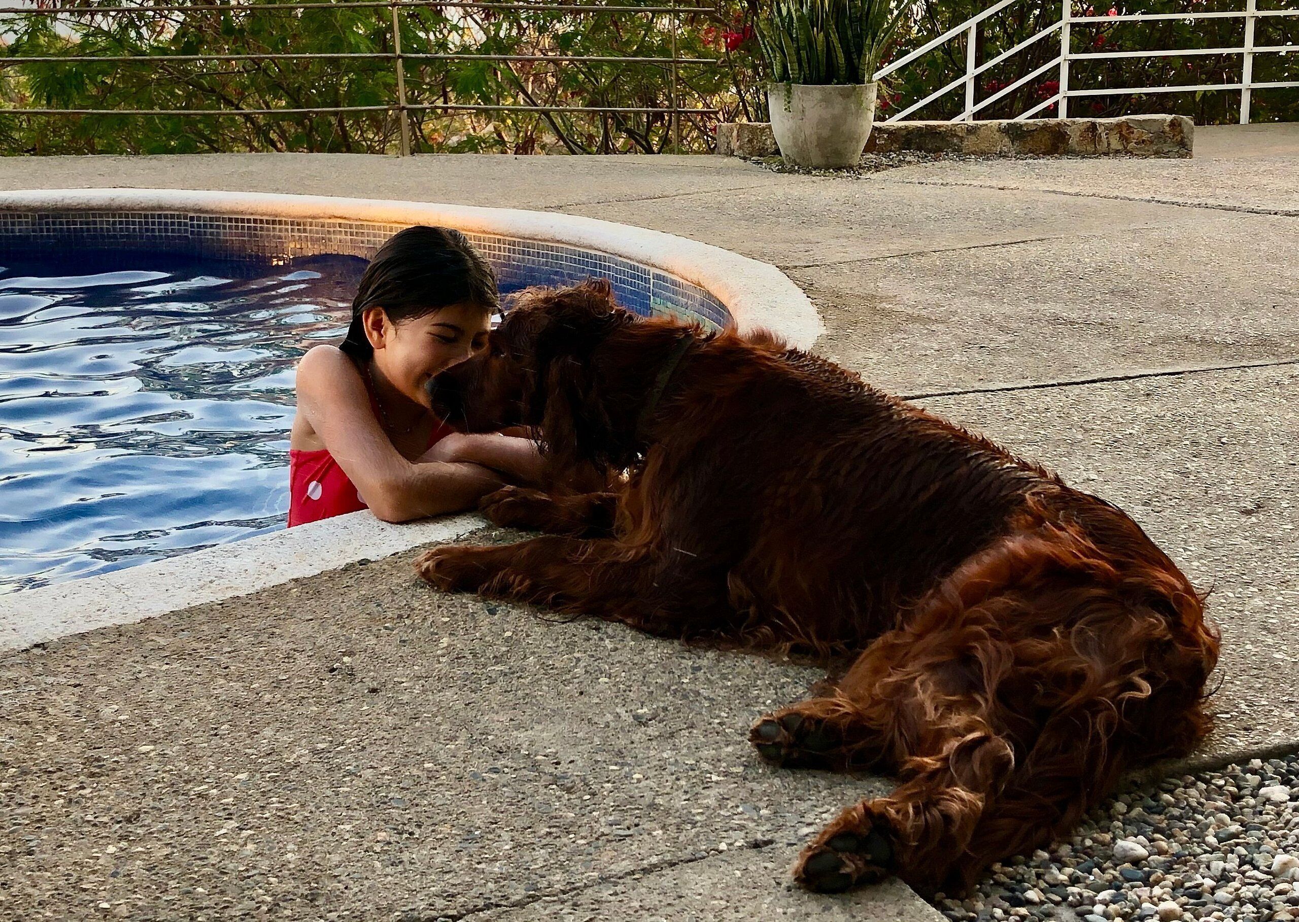 Une personne et un chien près d’une piscine.