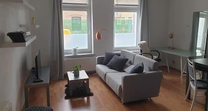 2 Zimmer-wohnung am Landesmuseum für Vorgeschichte
