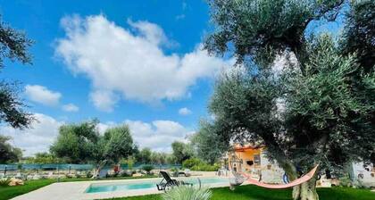 All' Ombra degli Ulivi by BarbarHouse