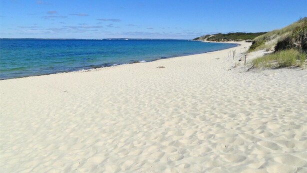 A sandy beach with clear blue water and a grassy dune in the background.