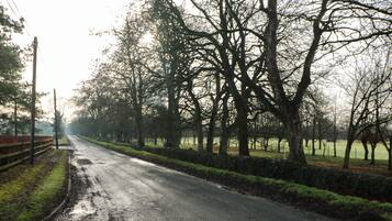 Une route de campagne bordée d’arbres des deux côtés, avec une clôture à gauche et un champ verdoyant au loin.