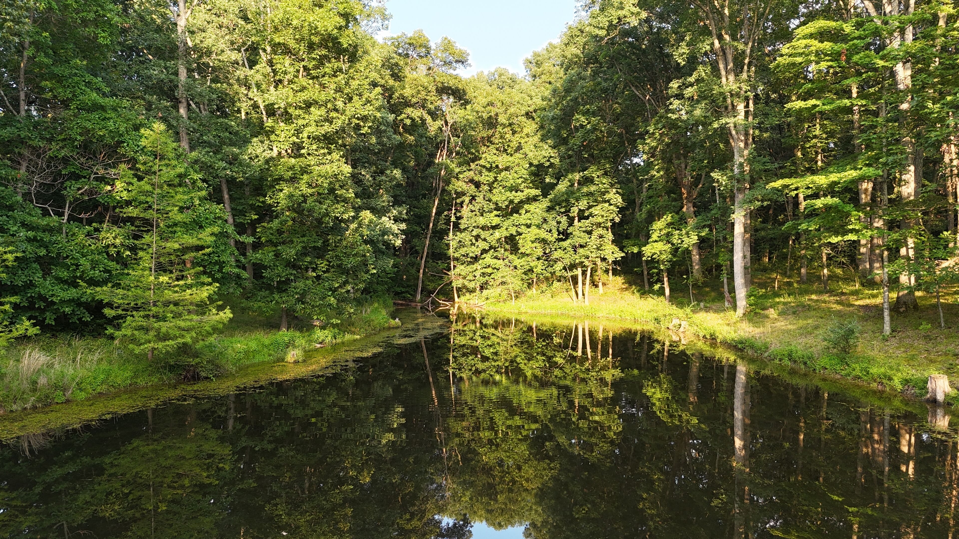 Un área boscosa y tranquila, con un río apacible que refleja los árboles.