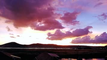 Room, 1 Bedroom, Patio, Garden View | Miscellaneous