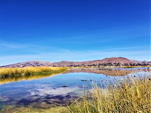Room, 1 Bedroom, Patio, Garden View | Miscellaneous - "room in Guest Room - Lucsay Habitacion Vista Al Amanecer Nº 1" (Puno)