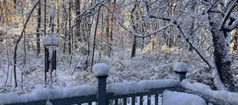 Delightful 5-bedroom cottage on a private wooded lane in Union Pier.