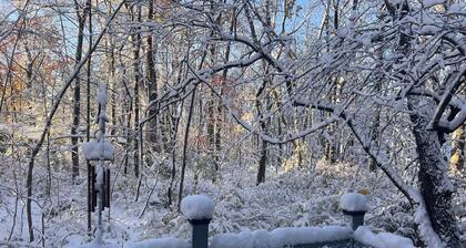 Delightful 5-bedroom cottage on a private wooded lane in Union Pier.