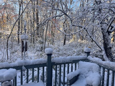 Delightful 5-bedroom cottage on a private wooded lane in Union Pier.