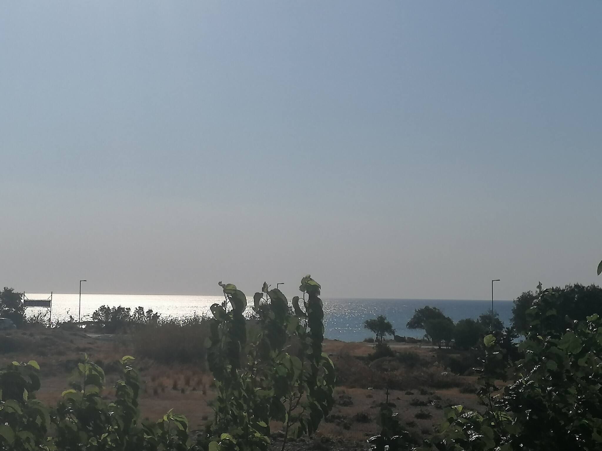 A coastal landscape with a clear sky, vegetation, and a distant view of the sea.