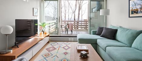 Smart TV, fireplace, books