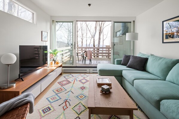 Smart TV, fireplace, books