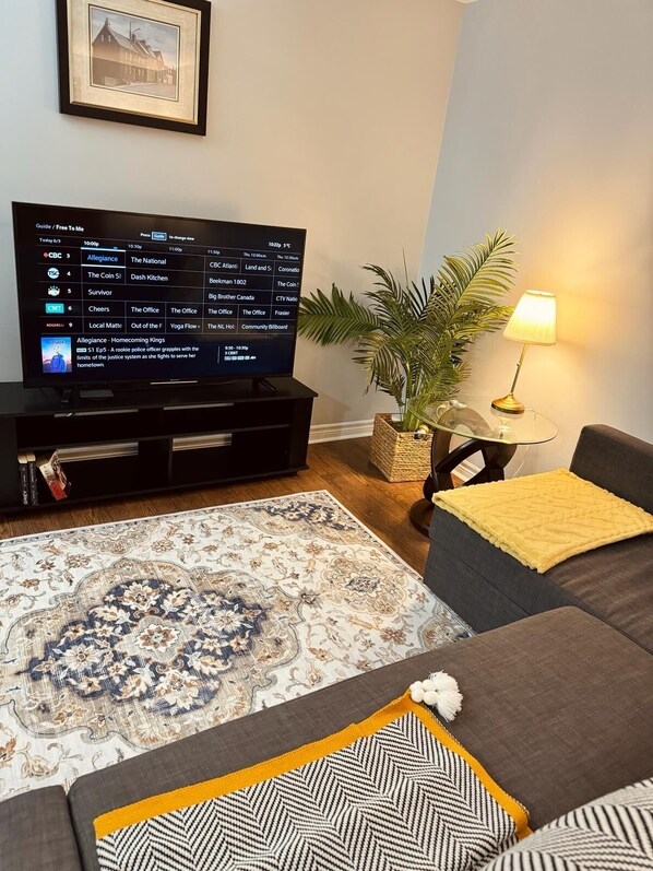 Smart TV, books, stereo, computer monitors