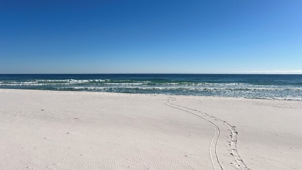 A beach with a clear sky and ocean waves.