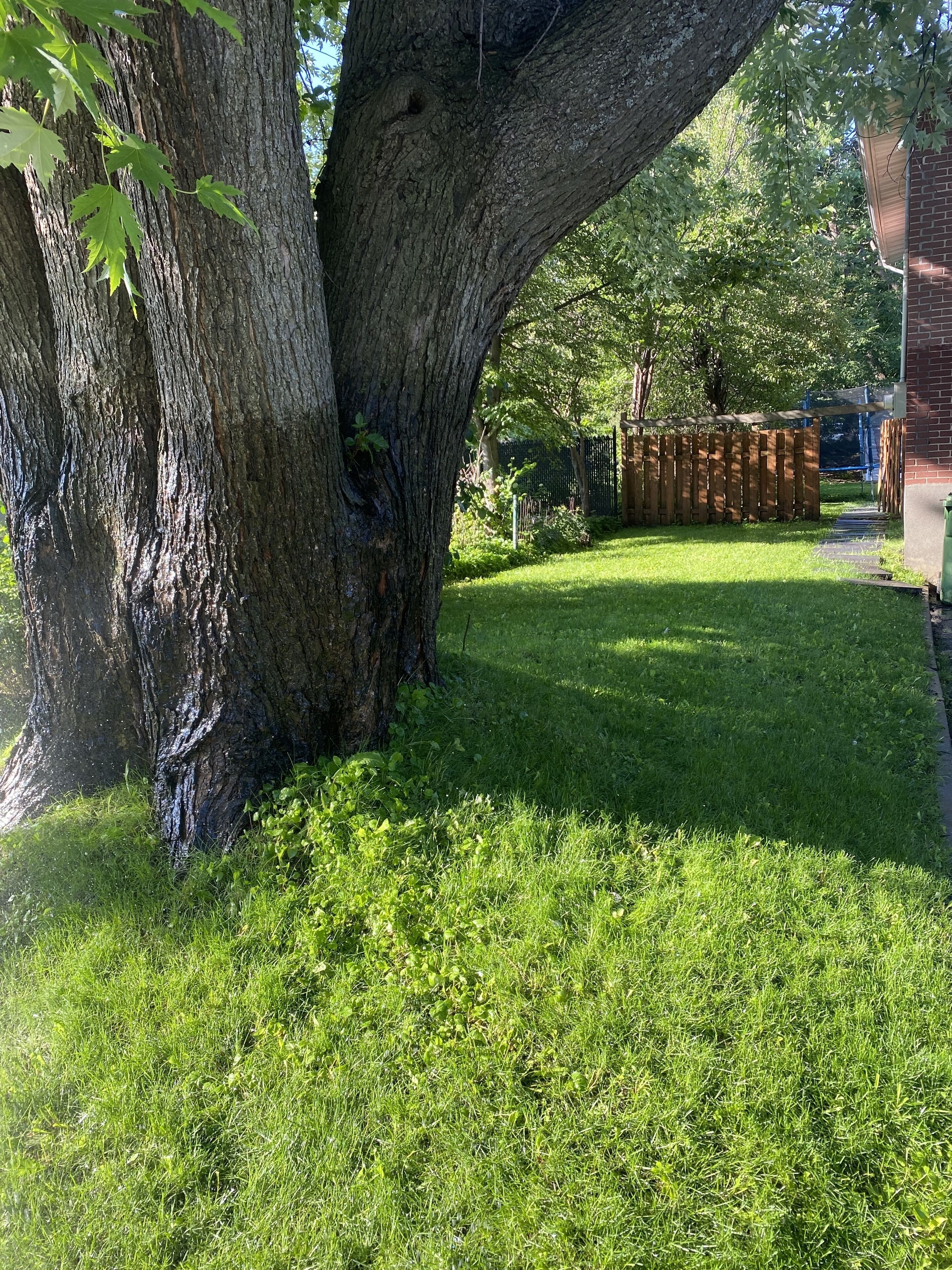 Ulkoalueet